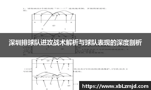 深圳排球队进攻战术解析与球队表现的深度剖析